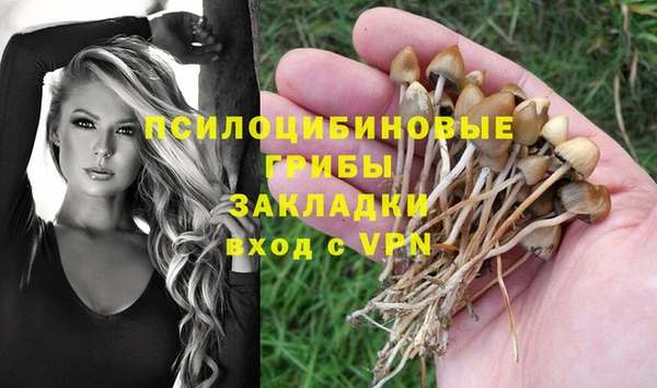 PSILOCYBIN Беломорск