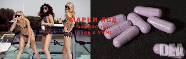 PSILOCYBIN Беломорск