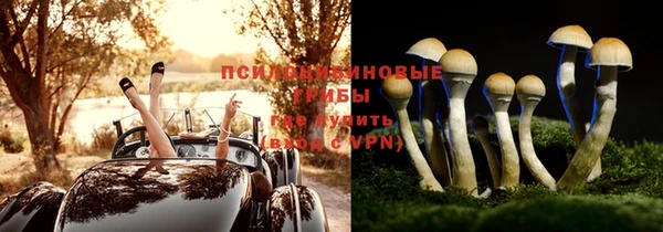 ALPHA PVP Белокуриха