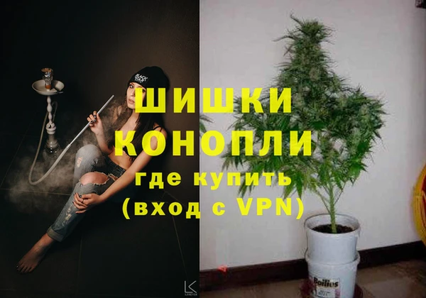 PSILOCYBIN Беломорск