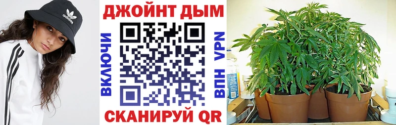 Канабис сатива  Мыски 